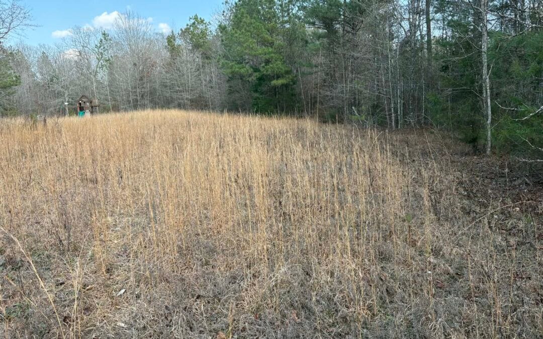 180 Ansel Ln. Bradley, SC